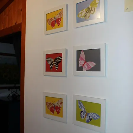 Casa Do